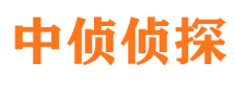 唐河侦探公司